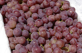 California Red Globe Grapes