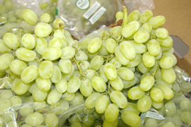 California Thompson Grape