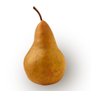 Washington Bosc Pears